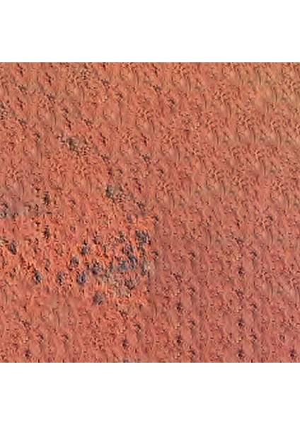 Pastel Pencil Terracotta 044 fiyatları
