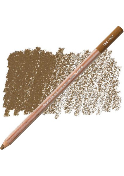 Pastel Pencil Bistre 047 fırsatları