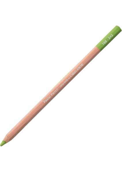 Pastel Pencil Light Olive 20% 243