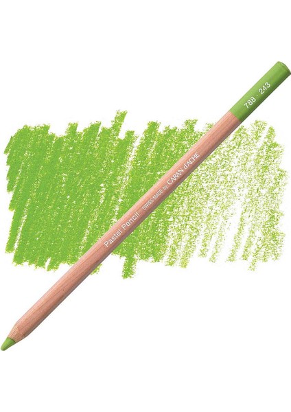 Pastel Pencil Light Olive 20% 243 fırsatları
