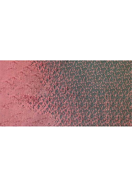 Pastel Pencil Violet Pink 583 modelleri