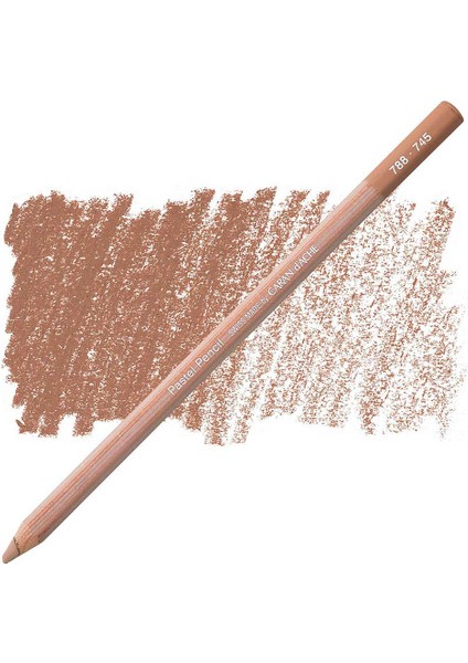 Pastel Pencil Dark Flseh 40% 745 fırsatları