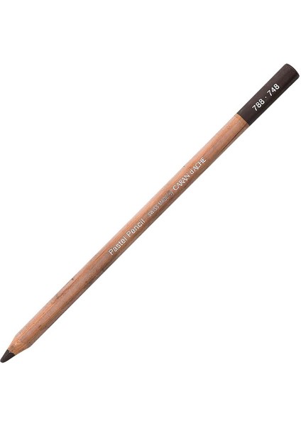 Pastel Pencil Dark Flesh 748
