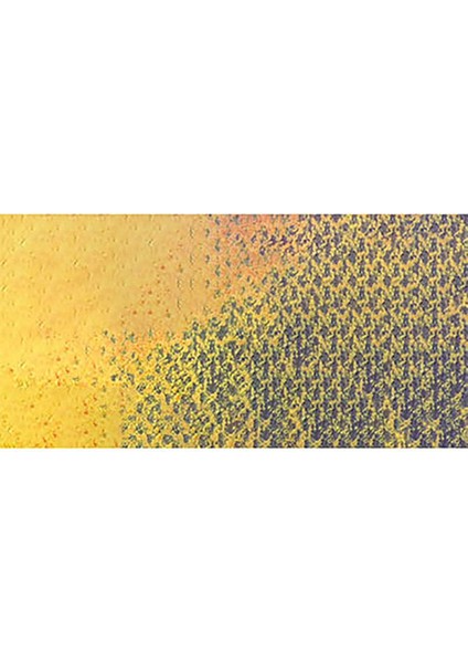 Pastel Pencil Golden Bismuth Yellow 820 modelleri