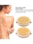 (L) Kuru Fırçalama Vücut Fırçası Seti Lenfatik Drenaj ve Cilt Peeling (Yurt Dışından) 4