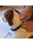 Köpek Yaka, Cd-Rom Köpek Tasması Yok (Yurt Dışından) 4