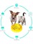 Yavaş Food Pet Malzemeleri, Yizhi Bölümü Oyuncak Sızıntı Hider (Yurt Dışından) 4