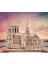 Caraele 239 Adet Ahşap Ahşap Ahşap 3D Puzzle Notre Dame De Paris (Yurt Dışından) 3