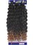 Sister Afro Dalgası Saç - Siyah Karamel Ombreli T1B/27 1