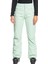 Diversion Kadın Snowboard Pantolonu 1