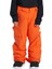 Banshee Erkek Çocuk Snowboard Pantolonu 2