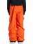 Banshee Erkek Çocuk Snowboard Pantolonu 3