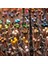 Luminance 6901 Raw Sienna 036 4