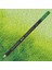 Museum Aquarelle Olive 249 2