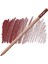 Pastel Pencil Burt Sienna 069 4
