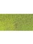 Pastel Pencil Middle Moss Green 10% 232 2