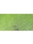 Pastel Pencil Light Olive 20% 243 3
