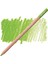 Pastel Pencil Light Olive 20% 243 4