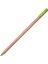 Pastel Pencil Light Olive 40% 245 1