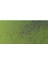Pastel Pencil Light Olive 40% 245 3