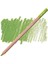 Pastel Pencil Light Olive 40% 245 4