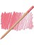 Pastel Pencil Portrait Pink 582 4