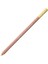Pastel Pencil Naples Ochre 821 1