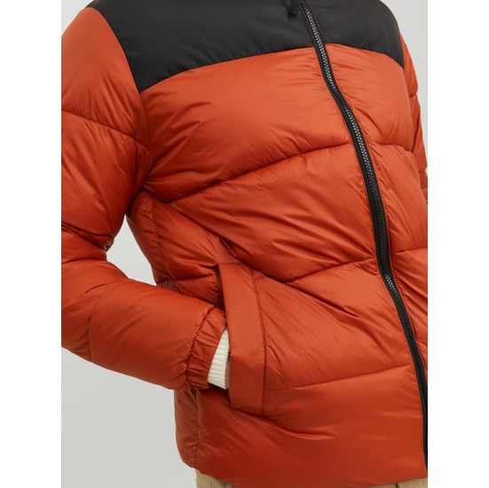 Jack & Jones JJETOBY PUFFER COLLAR - Winterjas - moonbeam/crème