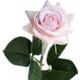  Renk Pembe