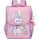  Renk Pembe