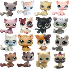 Sourcingasia Lps Kedi Nadir Littlest Pet Shop Sevimli Oyuncaklar Ayakta Kısa Saçlı Kedi Orijinal Yavru Husky Yavru Köpek Tilki Hayvan Eski Bobble Kafa Oyuncaklar (Yurt Dışından)