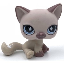 Sourcingasia Lps Kedi Nadir Littlest Pet Shop Sevimli Oyuncaklar Ayakta Kısa Saçlı Kedi Orijinal Yavru Husky Yavru Köpek Tilki Hayvan Eski Bobble Kafa Oyuncaklar (Yurt Dışından)