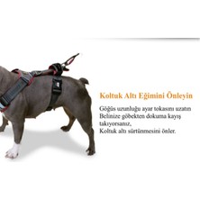 Interlaken H Koşum Takımı Ped Tipi Göğüs Tasması