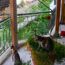 Morilu Kedi Filesi - Kedi Ağı - 4 cm Gözenek 2,5 mm Ip - Balkon Filesi - Kedi Koruma Ağı - Numune, Numune