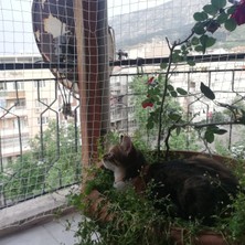 Morilu Kedi Filesi - Kedi Ağı - 4 cm Gözenek 2,5 mm Ip - Balkon Filesi - Kedi Koruma Ağı - Numune, Numune
