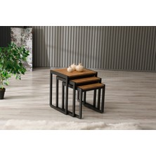 Arpelia Üçlü Zigon Sehpa 50X40X52/45X40X46/40X40X40