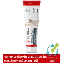 Multivitamin Paste 100 Gr. Kediler İçin Multivitamin Malt Macunu Vitamin B, C, D, Demir, Kalsiyum