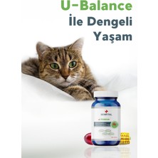 Benifital U-Balance Tablet Kedi ve Köpekler Için Üriner Sistem Destekleyici Tablet