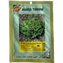 Bursa Tohum Bt Iri Kıvırcık Arapsaçı 25 gr