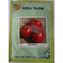 Ordu Tarım Bursa Tohum Burcu Domates 25 gr