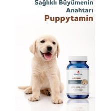 Benifital Puppytamin Tablet Yavru Köpeklerin Gelişimini Destekleyici Vitamin ve Mineral Tableti 75 Adet