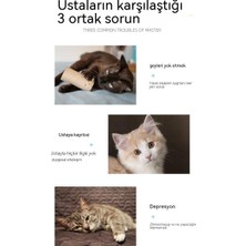 Kehong Xingzhi Kedi Renkli Kumaş Komik Kedi Sopa (Yurt Dışından)