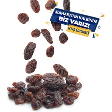Buldumlar Baharat Kuş Üzümü