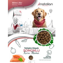 Anatolian Premium Anatolian Premium Somonlu Yetişkin Köpek Maması 18 kg