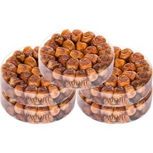 Payitaht Hurma Medine Cassim Kasim Sukkari Rutab Duble Taze -Yaş Hurma 2,5 kg Tabak Hurma Yumuşak 5 Paket