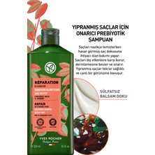 Yves Rocher Yıpranmış Saçlar İçin (Reparation) Onarıcı Prebiyotik Şampuan - Sülfatsız & Tuzsuz & Vegan-300 ml