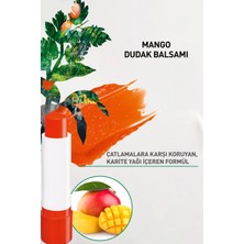 Yves Rocher Mango Dudak Balsamı-4.8 g-90135