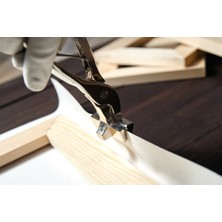 Canvasum Tasarım Beyaz Çiçek Kanvas Tablo DR030