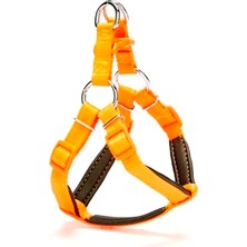 Colezium Köpek Göğüs Tasması 45 cm Small