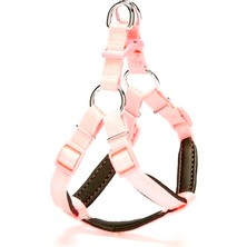 Colezium Köpek Göğüs Tasması 35 cm x small